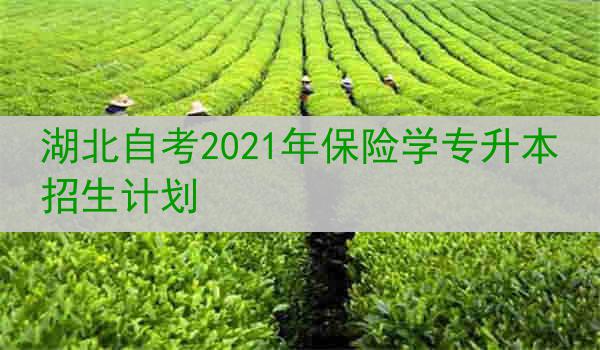 湖北自考2021年保险学专升本招生计划