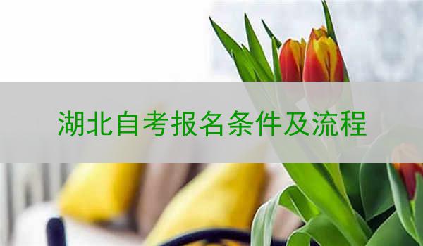 湖北自考报名条件及流程
