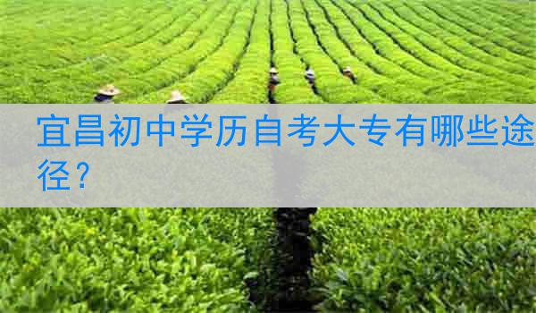宜昌初中学历自考大专有哪些途径？