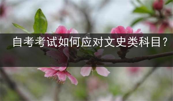 自考考试如何应对文史类科目？