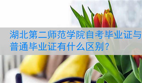湖北第二师范学院自考毕业证与普通毕业证有什么区别？