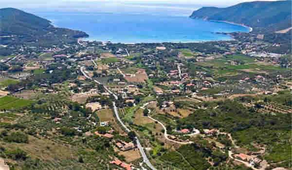 自考本科有哪些课程？