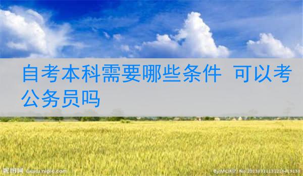 自考本科需要哪些条件 可以考公务员吗