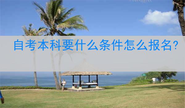 自考本科要什么条件怎么报名?