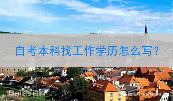 自考本科找工作学历怎么写？