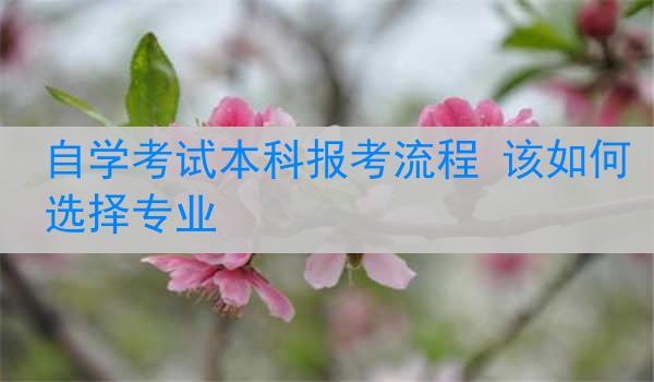 自学考试本科报考流程 该如何选择专业