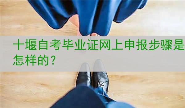 十堰自考毕业证网上申报步骤是怎样的？