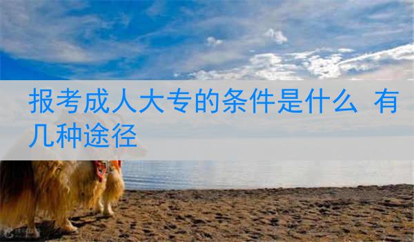 报考成人大专的条件是什么 有几种途径