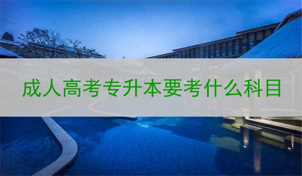 成人高考专升本要考什么科目
