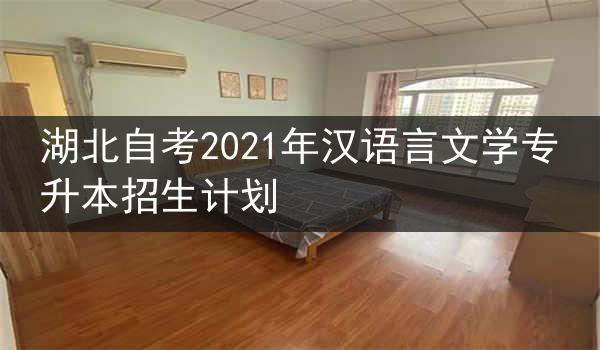 湖北自考2021年汉语言文学专升本招生计划