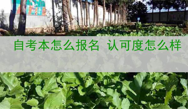 自考本怎么报名 认可度怎么样
