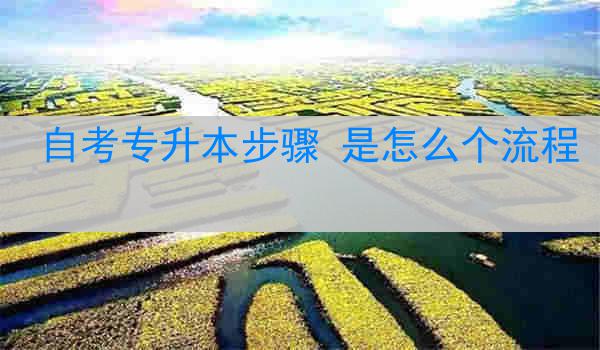 自考专升本步骤 是怎么个流程