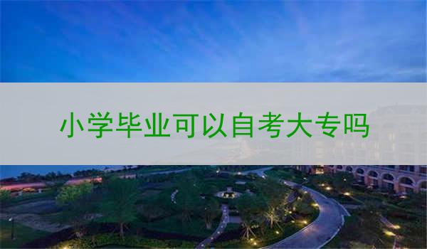 小学毕业可以自考大专吗