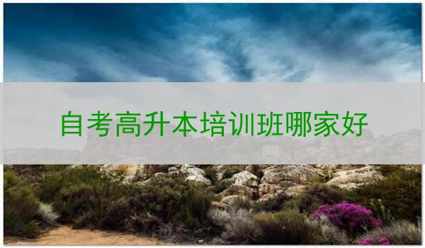 自考高升本培训班哪家好