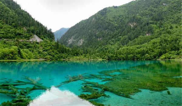 自考本科怎么报名？