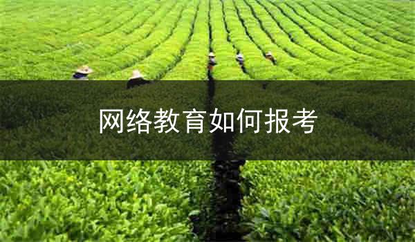网络教育如何报考