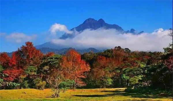 2021年成人高考专升本《高数二》部分答案 考生回忆版(仅供参考)