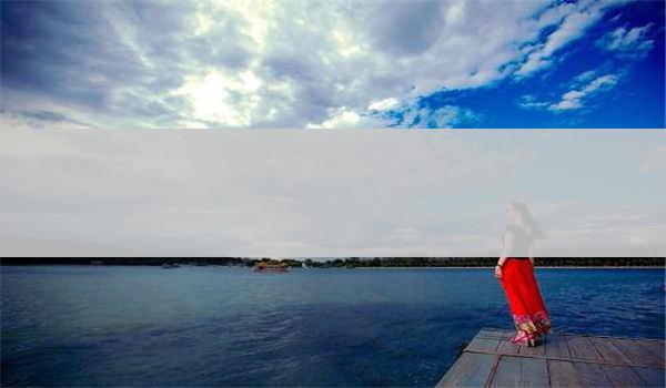 2021年湖北成人高考专科起点升本科专业与统一考试科目对照表(农学类)