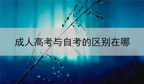 成人高考与自考的区别在哪
