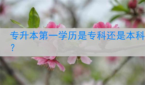 专升本第一学历是专科还是本科？