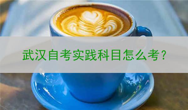 武汉自考实践科目怎么考？