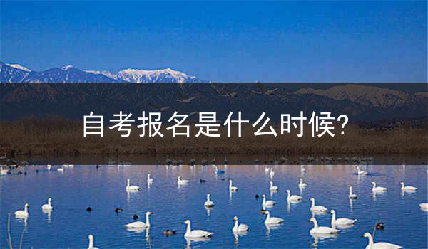 自考报名是什么时候?