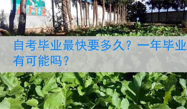 自考毕业最快要多久？一年毕业有可能吗？