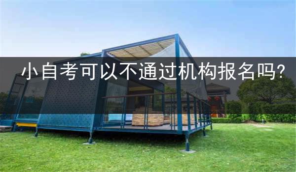 小自考可以不通过机构报名吗?