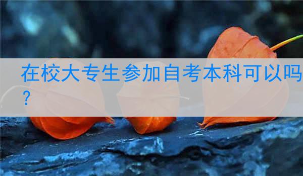 在校大专生参加自考本科可以吗？