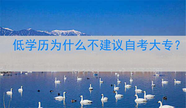 低学历为什么不建议自考大专？