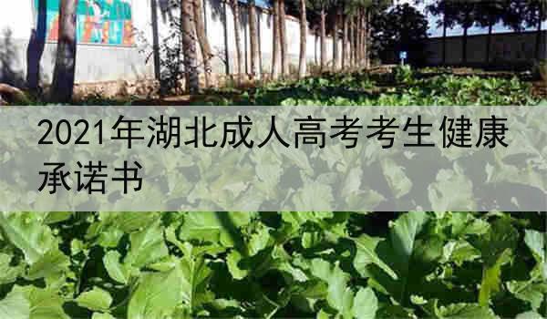 2021年湖北成人高考考生健康承诺书