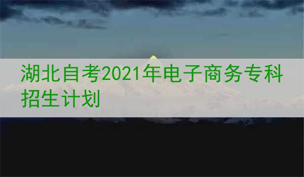 湖北自考2021年电子商务专科招生计划