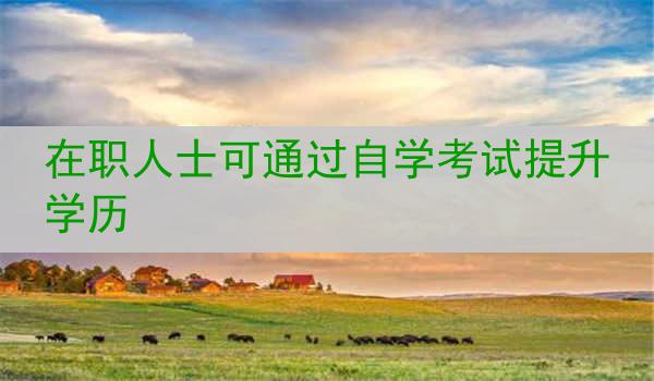 在职人士可通过自学考试提升学历