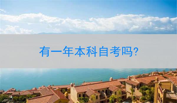 有一年本科自考吗?