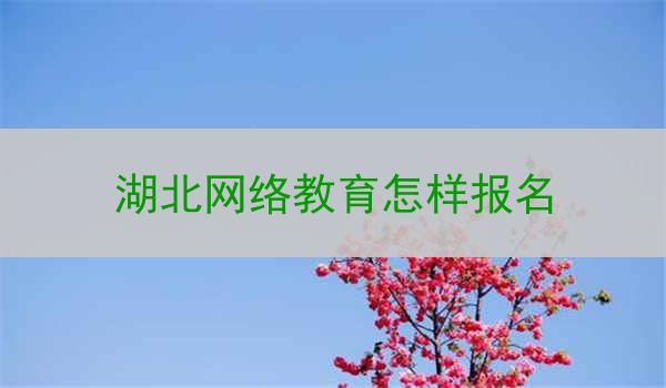 湖北网络教育怎样报名