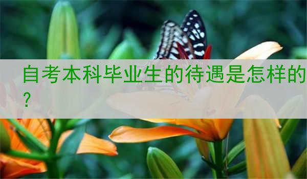 自考本科毕业生的待遇是怎样的？