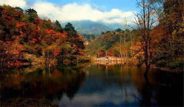 网络教育专升本报名要满足什么条件