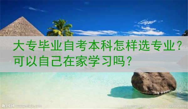 大专毕业自考本科怎样选专业？可以自己在家学习吗？