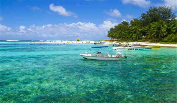 2021年成人高考专升本教育理论真题及答案