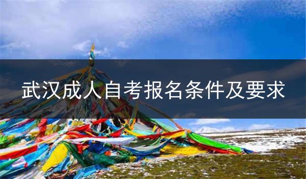 武汉成人自考报名条件及要求