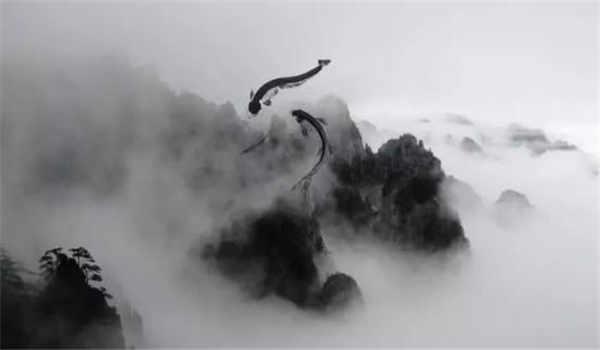 武汉大学自考2022年秋季自学考试社会考生申请学士学位的通知