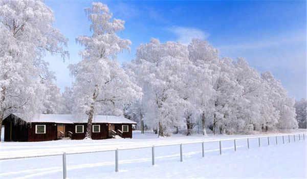 自考毕业可以当老师吗 有什么要求