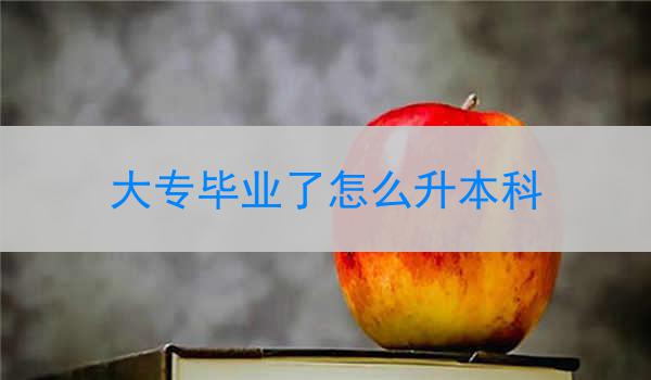 大专毕业了怎么升本科