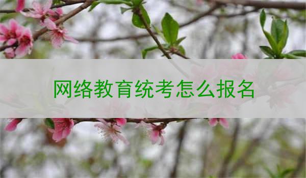 网络教育统考怎么报名
