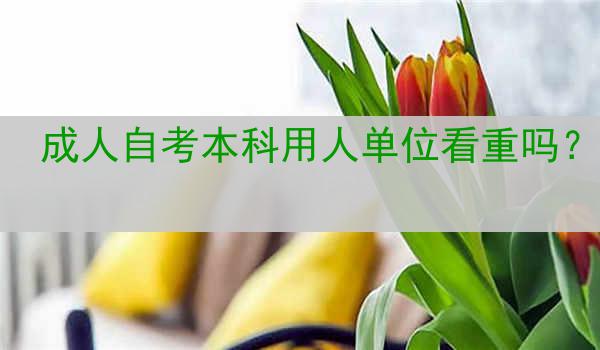 成人自考本科用人单位看重吗？