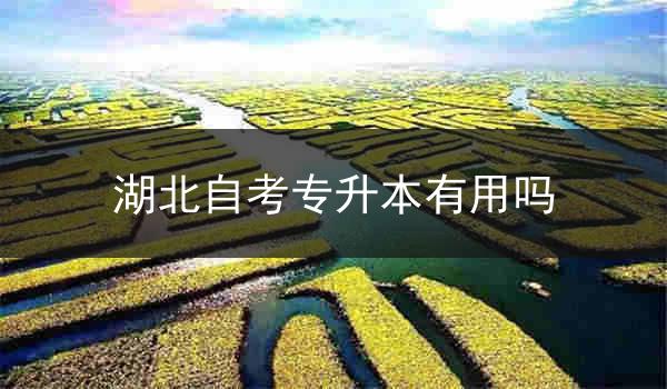 湖北自考专升本有用吗