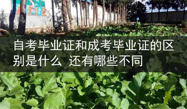 自考毕业证和成考毕业证的区别是什么 还有哪些不同