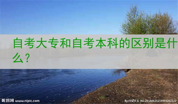 自考大专和自考本科的区别是什么？