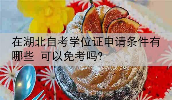 在湖北自考学位证申请条件有哪些 可以免考吗?