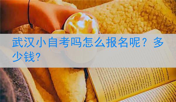武汉小自考吗怎么报名呢？多少钱?